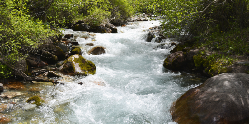Hydrologie du bassin versant et impacts du changement climatique